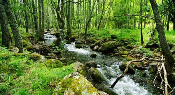 Ruralrut-El Tiemblo Wifi, Cabina De Hidromasaje, Aire Acondicionado Y A Pocos Metros De Zonas De Bano Naturales Esterno foto